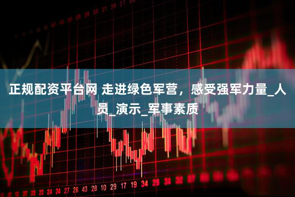 正规配资平台网 走进绿色军营，感受强军力量_人员_演示_军事素质